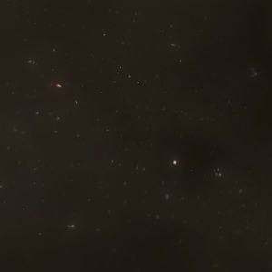 Meet your Posher, Imani